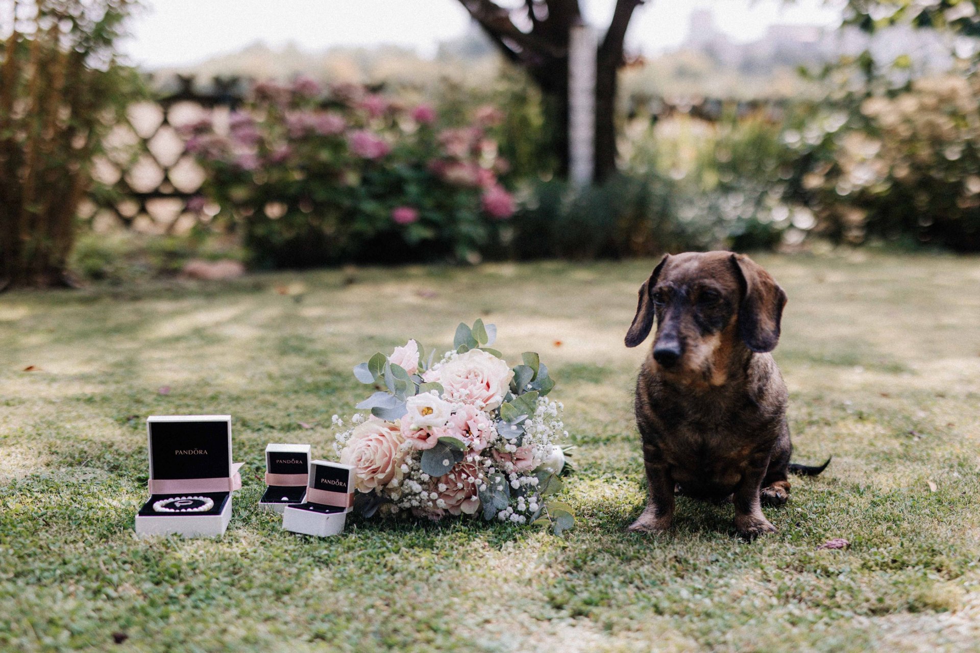 Lena & Florian – Hochzeitsfoto